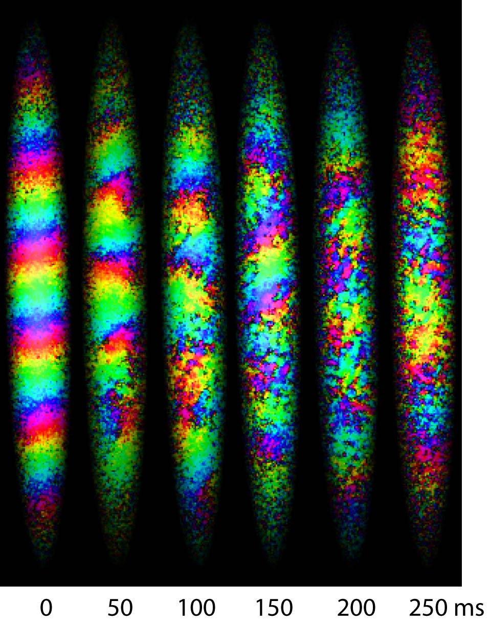 Spontaneous formation of modulated spin textures